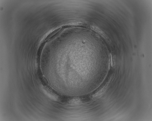 X0000075810252200609221316