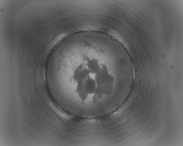 X0000075810253200609221316