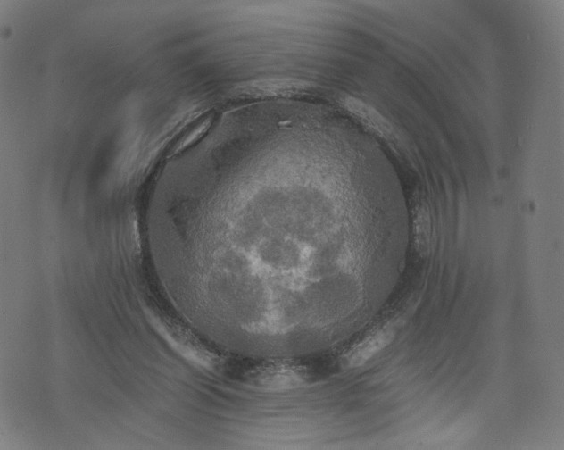 X0000075810254200609221316