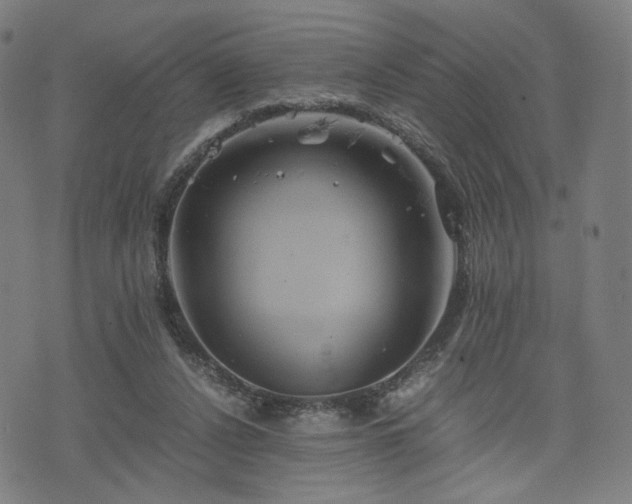 X0000075810256200609221316