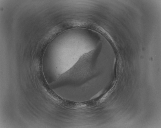 X0000075810257200609221316