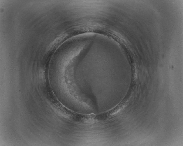 X0000075810258200609221316