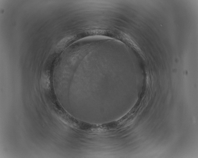 X0000075810259200609221316