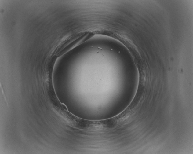 X0000075810260200609221316