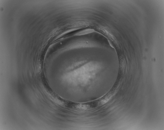 X0000075810261200609221316