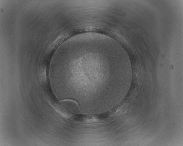 X0000075810262200609221316