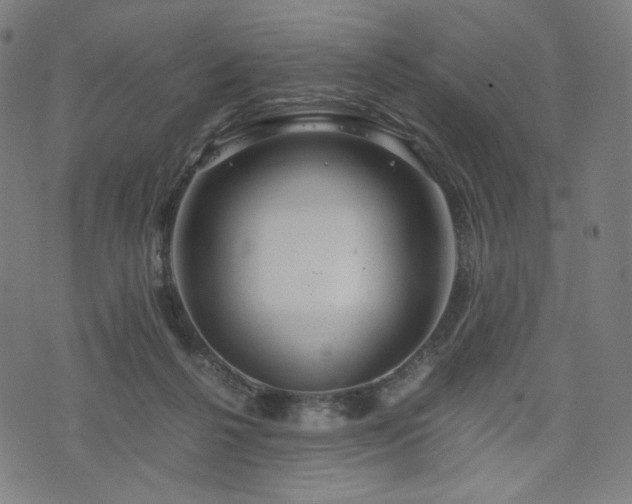 X0000075810264200609221316