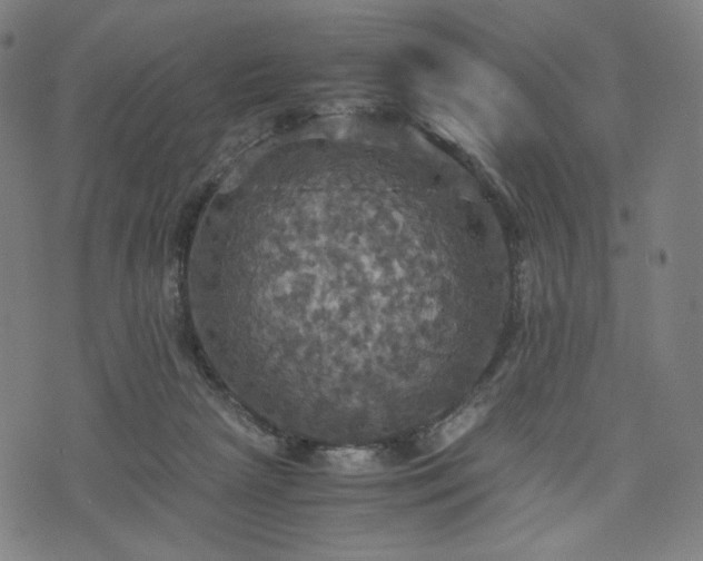 X0000075810265200609221316