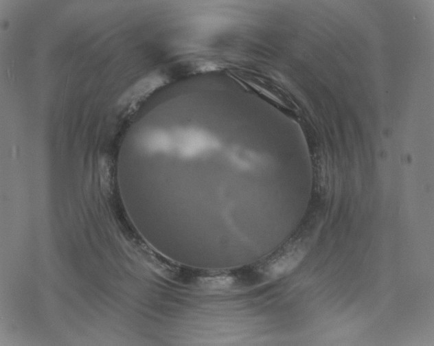 X0000075810266200609221316