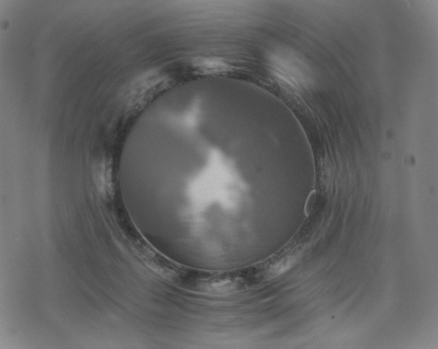 X0000075810267200609221316