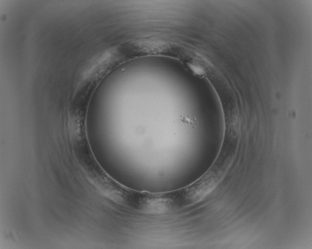 X0000075810268200609221316