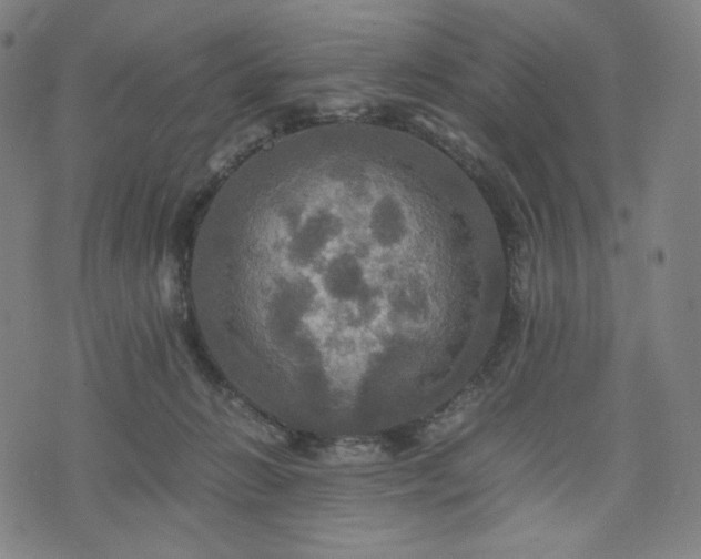 X0000075810270200609221316