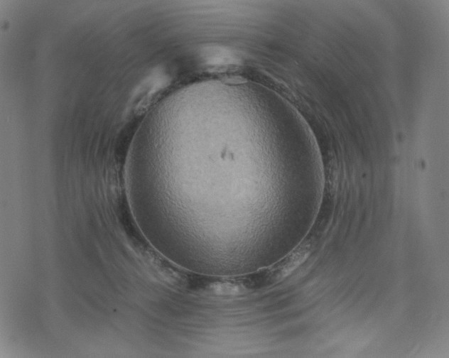 X0000075810272200609221316