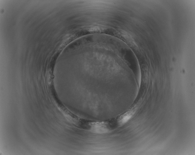 X0000075810273200609221316