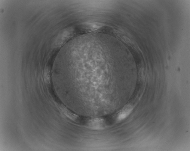 X0000075810274200609221316