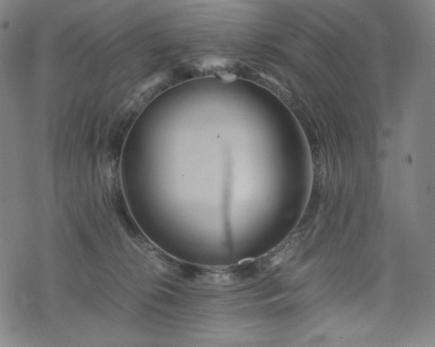 X0000075810276200609221316