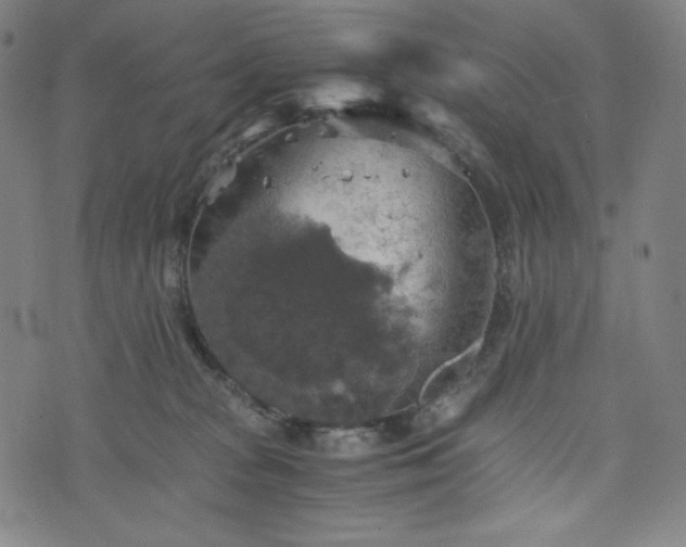 X0000075810277200609221316