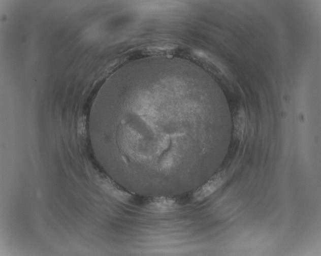 X0000075810278200609221316