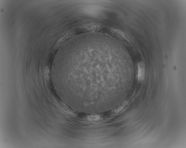 X0000075810279200609221316