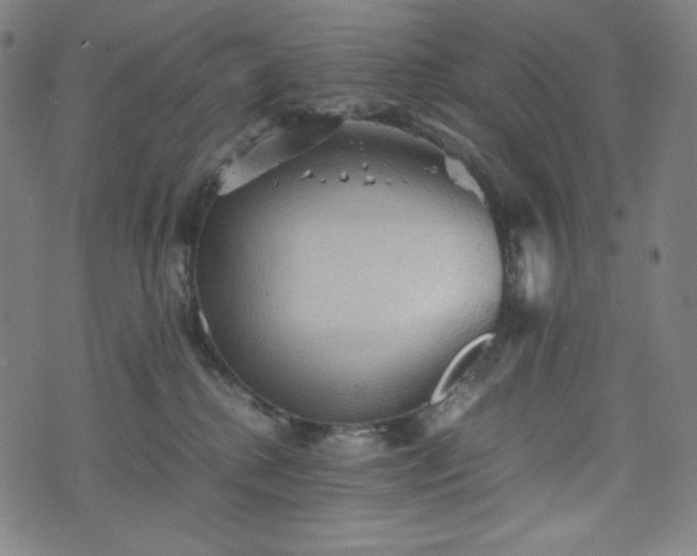 X0000075810280200609221316