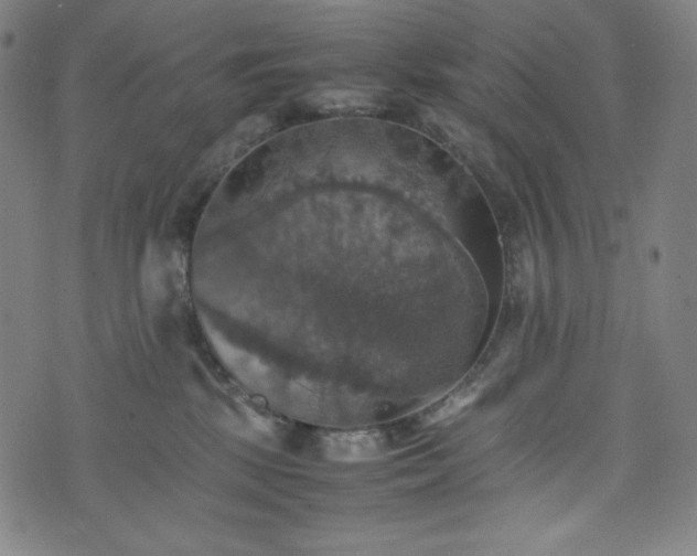 X0000075810281200609221316