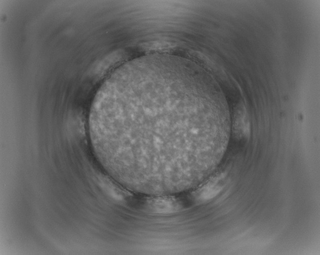 X0000075810282200609221316