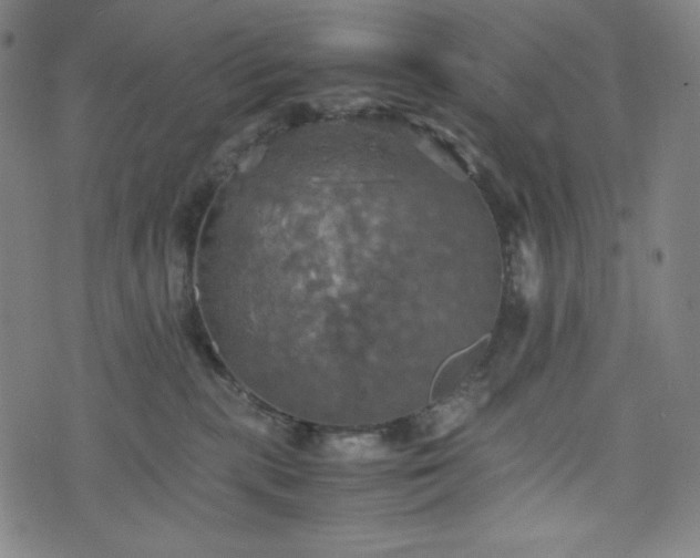 X0000075810283200609221316