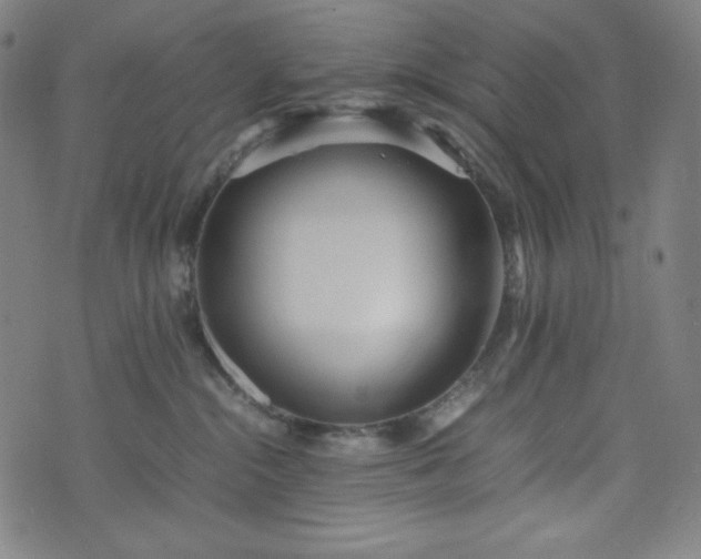 X0000075810284200609221316