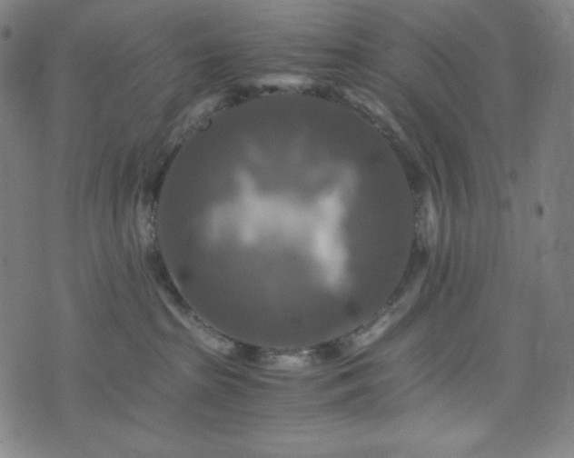 X0000075810285200609221316