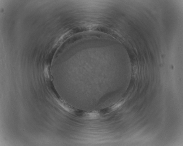 X0000075810286200609221316