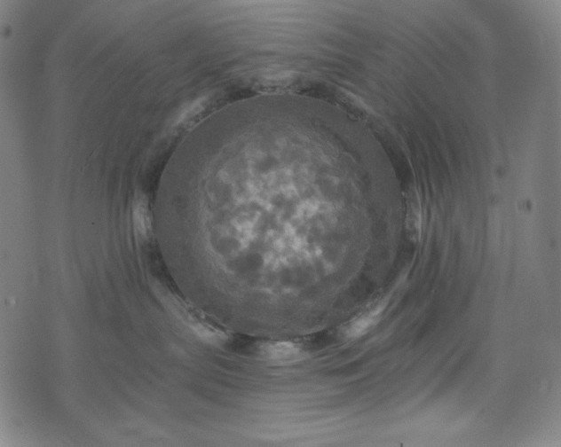 X0000075810287200609221316