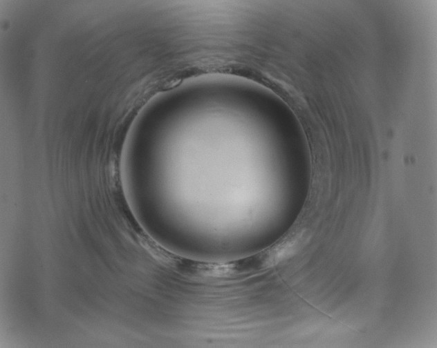 X0000075810288200609221316