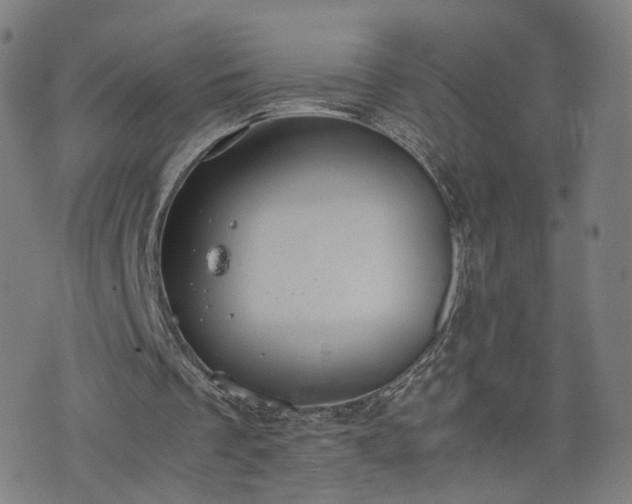 X0000075810289200609221315