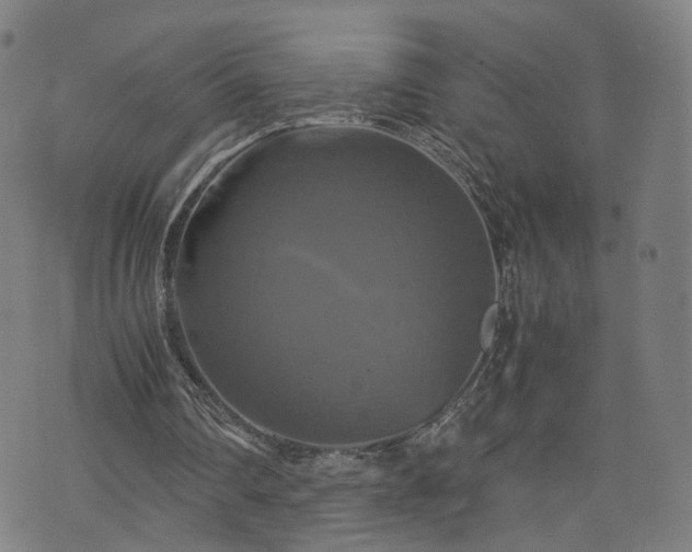 X0000075810290200609221315