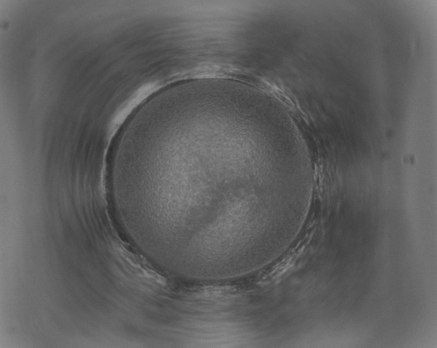 X0000075810292200609221315