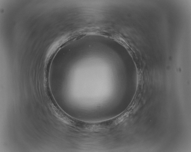 X0000075810293200609221315