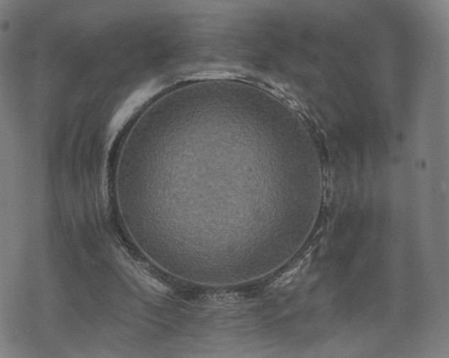 X0000075810296200609221315