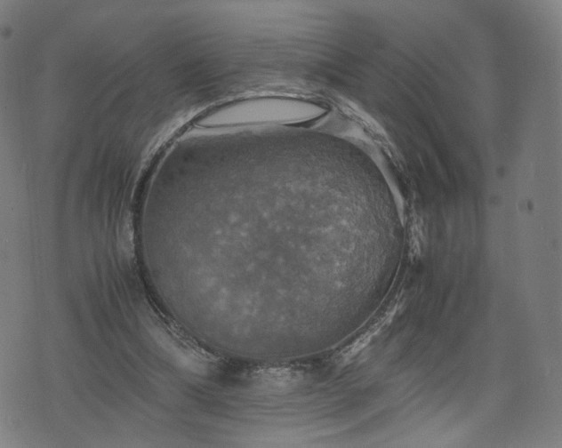 X0000075810298200609221315