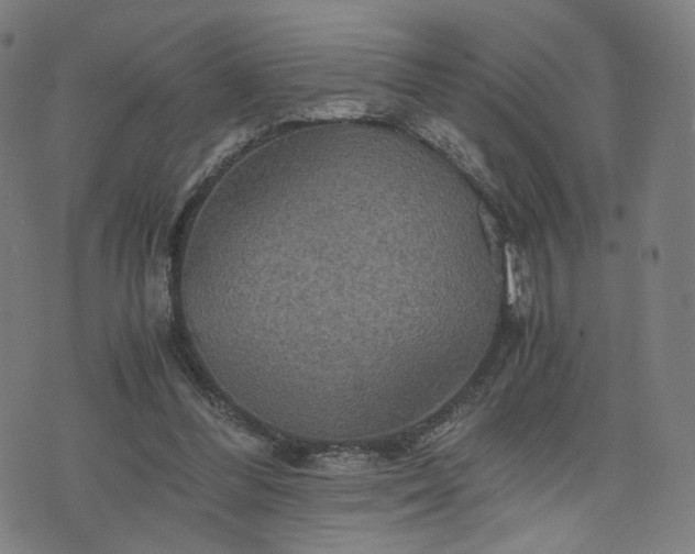 X0000075810300200609221315