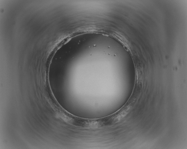 X0000075810301200609221315