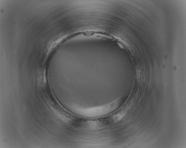 X0000075810302200609221315