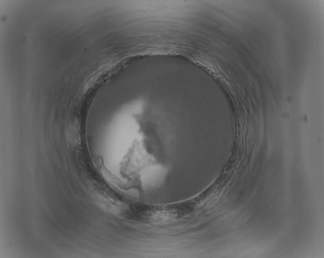 X0000075810303200609221315