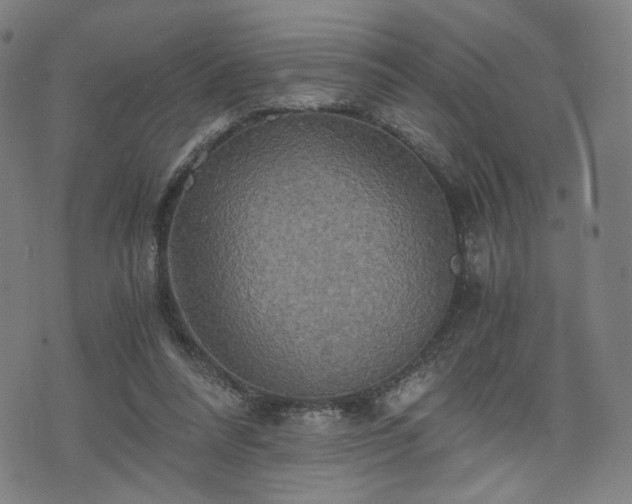 X0000075810304200609221315