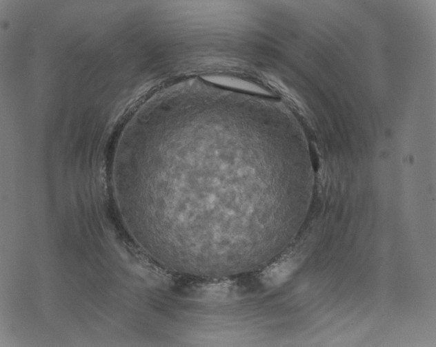 X0000075810306200609221315