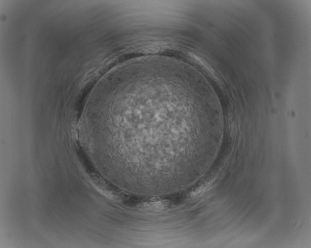 X0000075810307200609221315