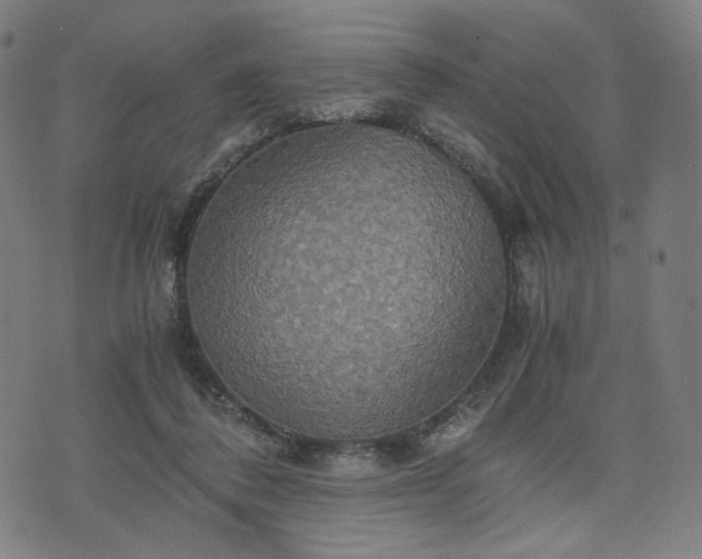 X0000075810308200609221315