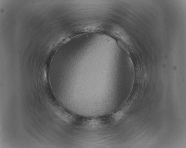 X0000075810310200609221315