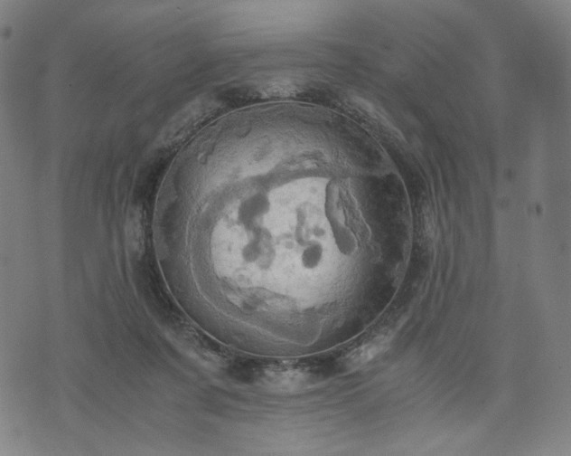 X0000075810311200609221315