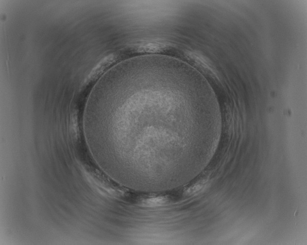 X0000075810312200609221315