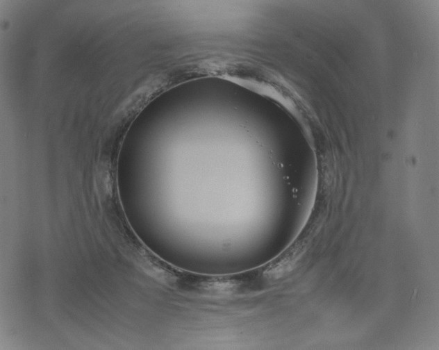 X0000075810313200609221315